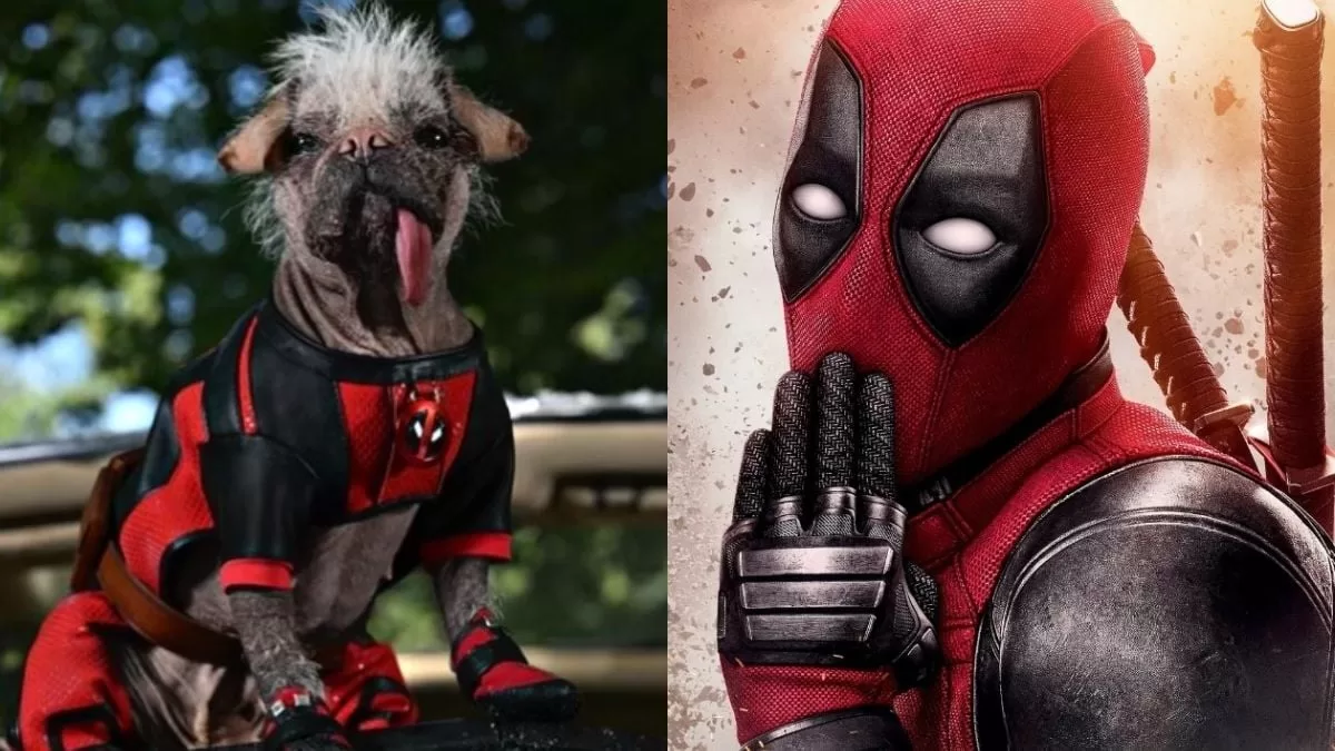 Dogpool appears in unseen image from Deadpool 3
