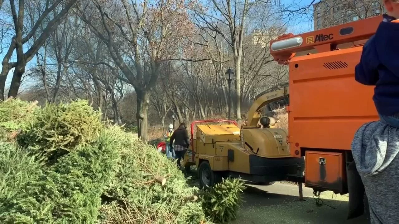 Annual Christmas Tree Recycling Event Returns
