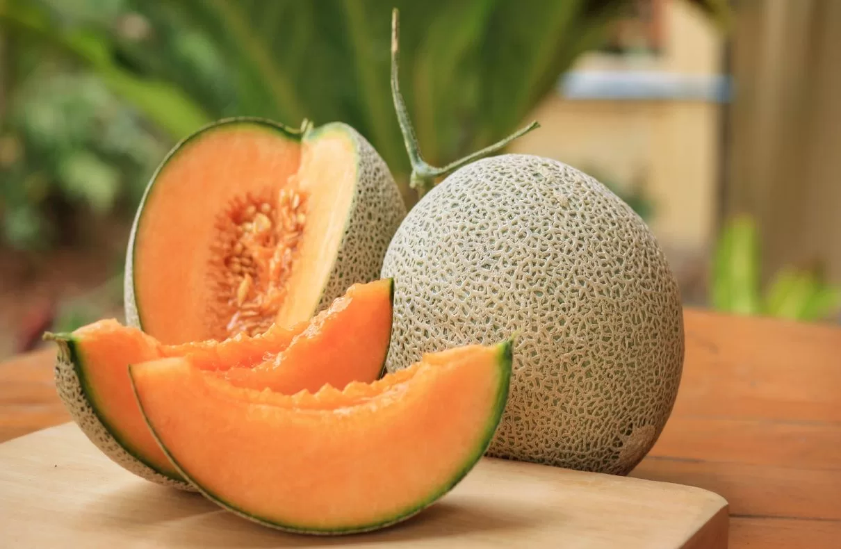 CDC Warns of Salmonella Outbreak Linked to Cantaloupes