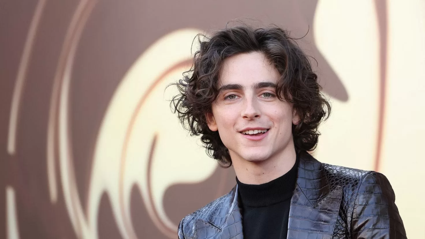  How much money does Timothe Chalamet have?  This is his fortune at 27 years old
