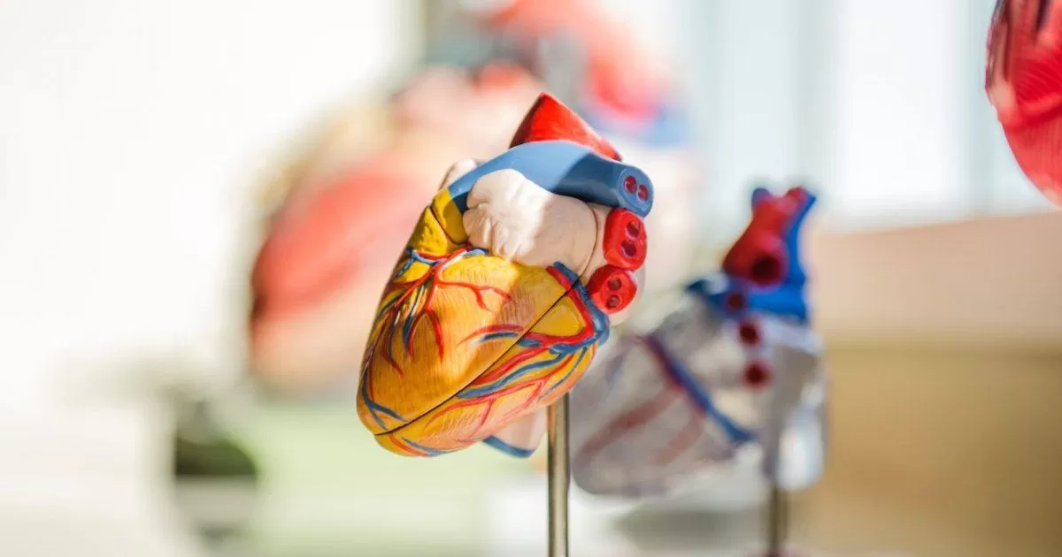  The good news |  They develop an ingestible device capable of measuring heart rate
