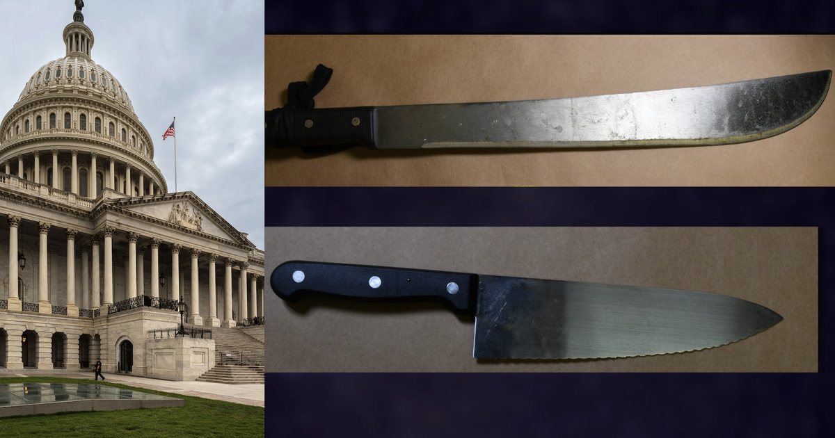 They arrest a young man armed with a machete next to the US Capitol
