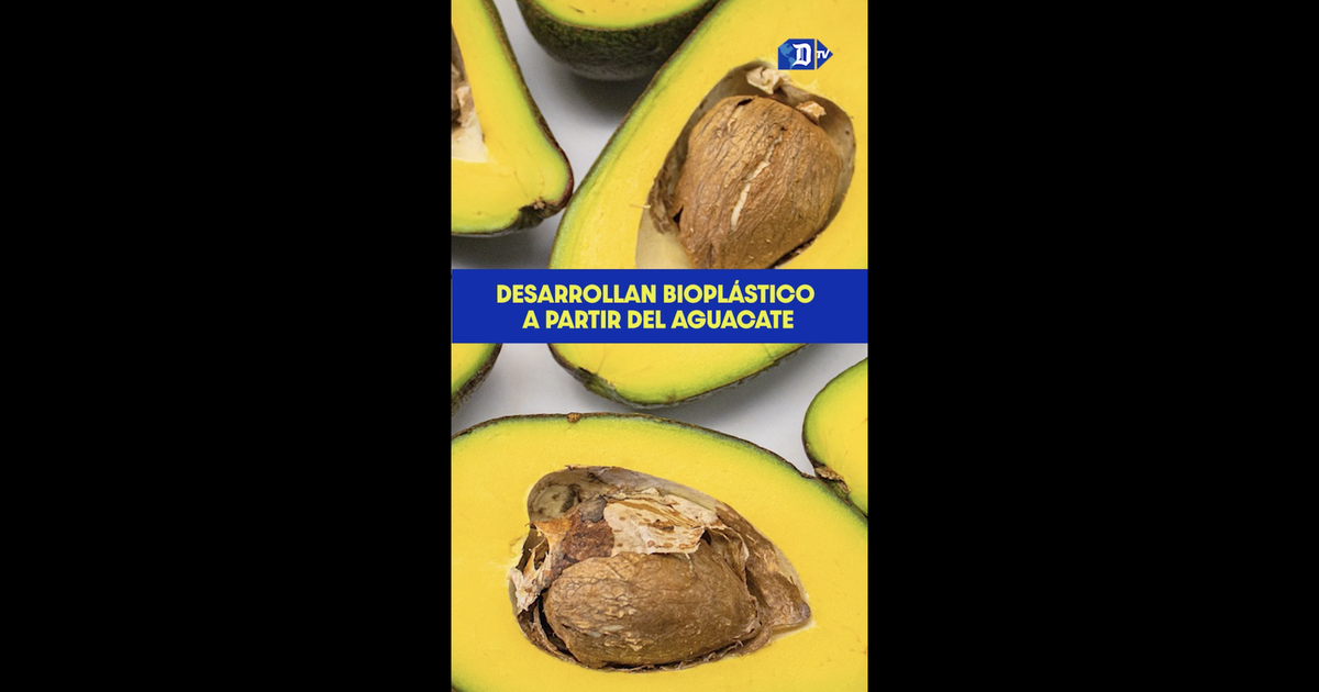 They develop bioplastic from avocado
