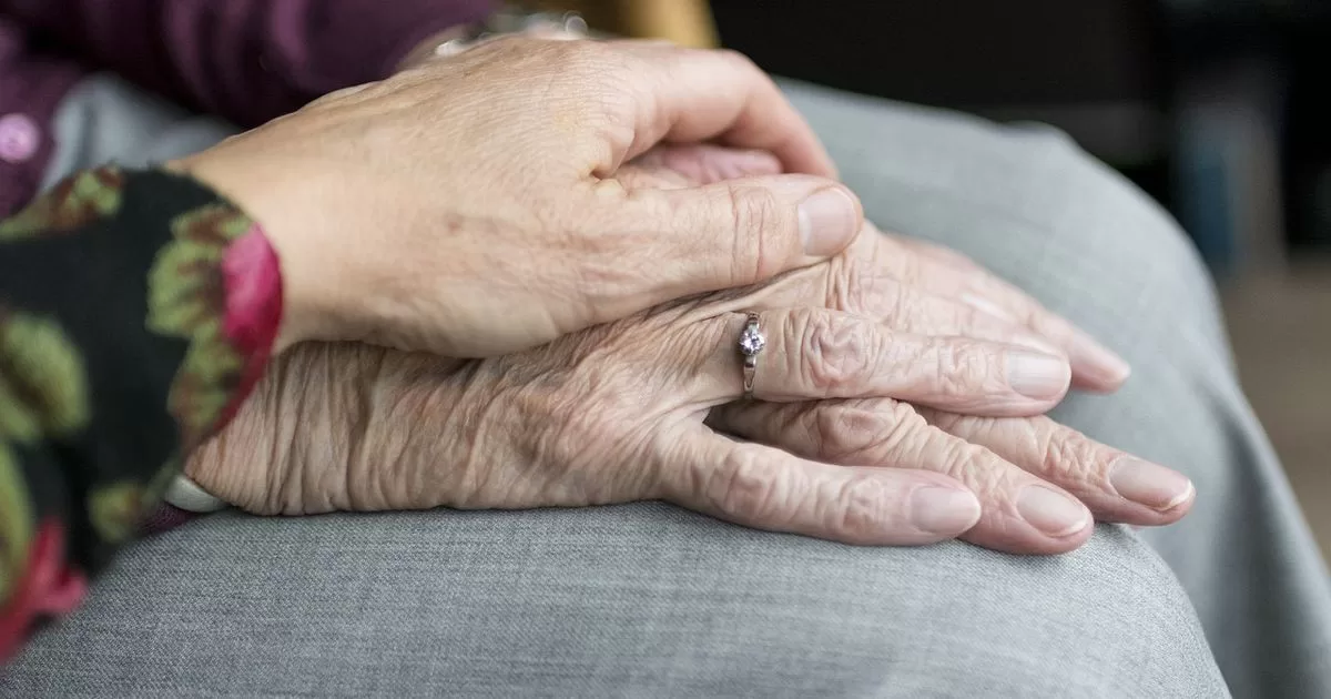 Which states have the best protections against elder abuse?

