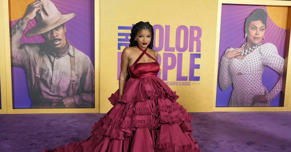 Actress Halle Bailey reveals that she became a mother
