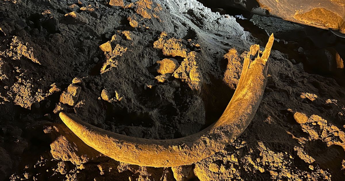 Miners find mammoth tusk that was underground for thousands of years
