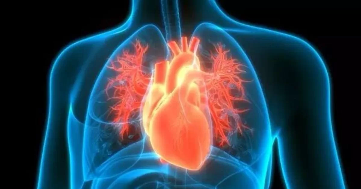  Oral or nasal breathing?  how it affects the heart

