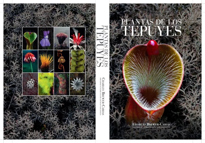Cover of the book Plants of the Tepuis.  In the image we see Heliamphora pulchella, a carnivorous plant from the summit of Chimant-tepui. 