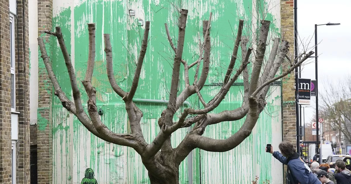 Banksy draws inspiration from the foliage of a pruned tree in his new mural
