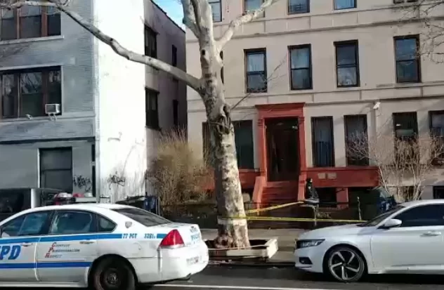 Man fatally shot in Brooklyn