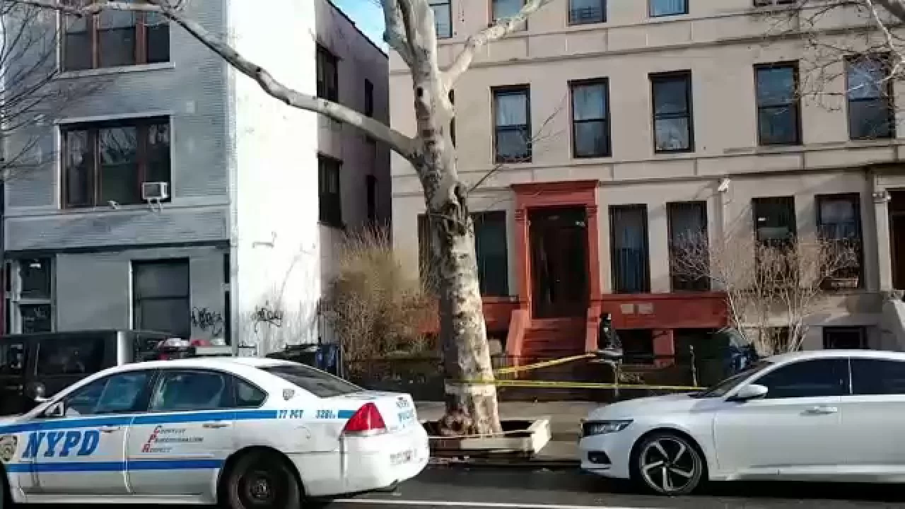 Man fatally shot in Brooklyn
