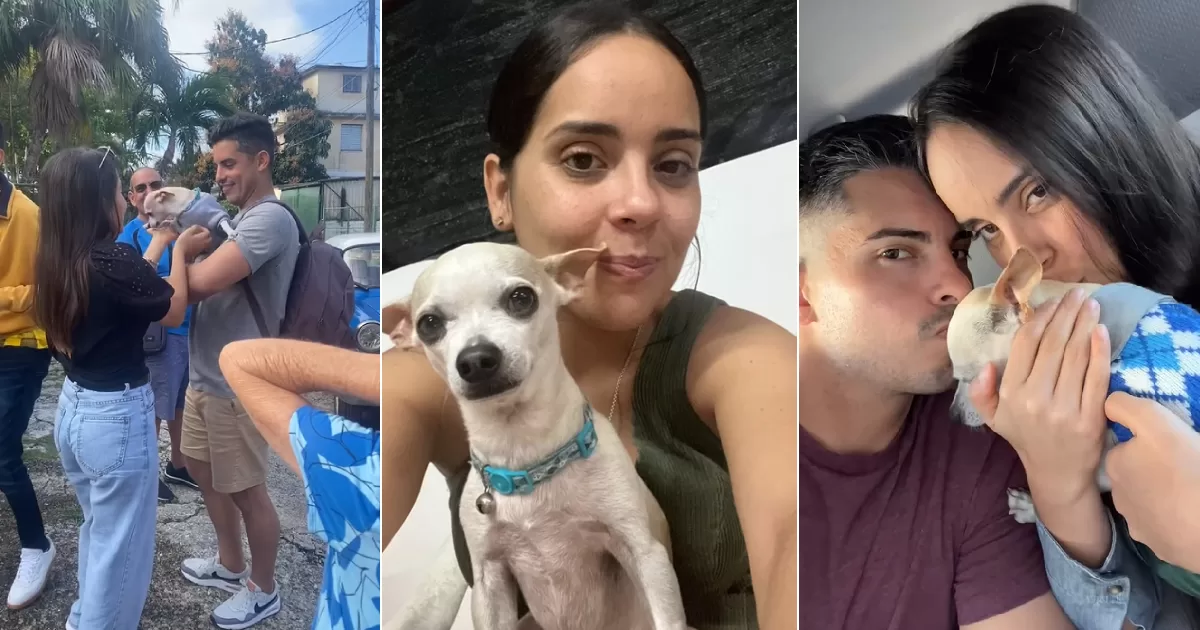 Young Cubans manage to bring their pet to the US after two years of waiting
