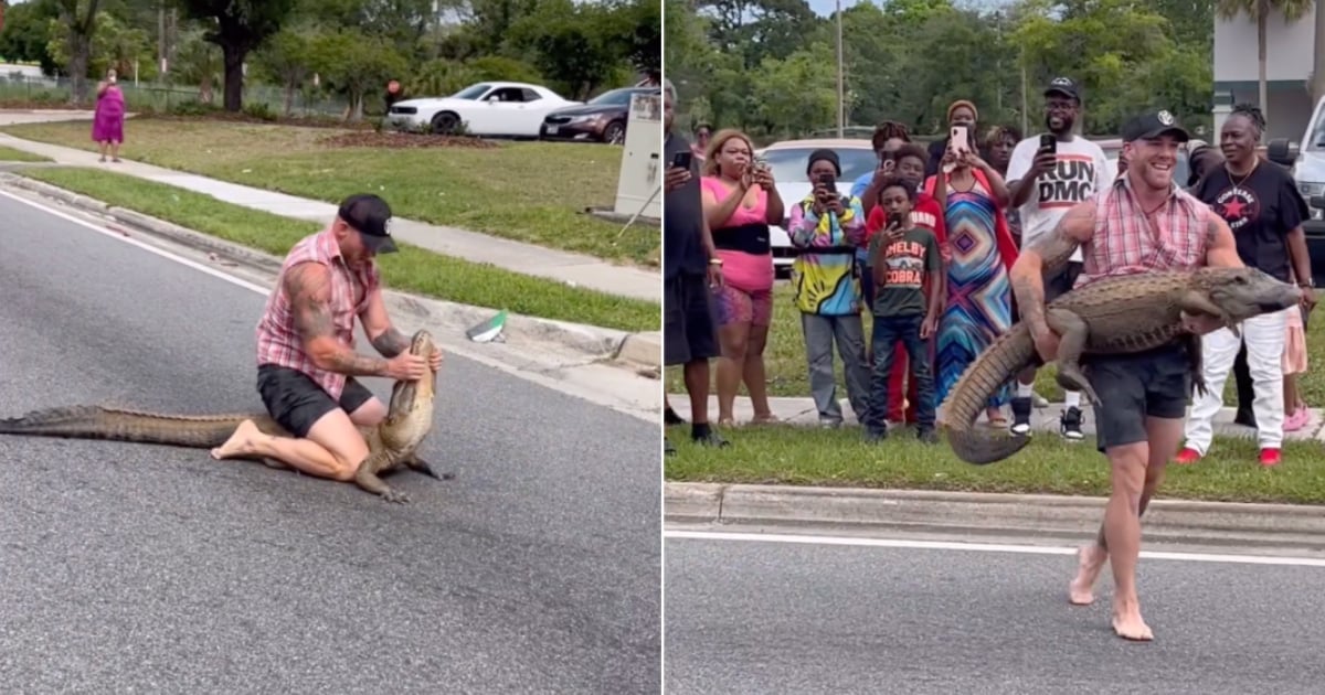 Man in Florida captures alligator with his hands in the middle of the street
