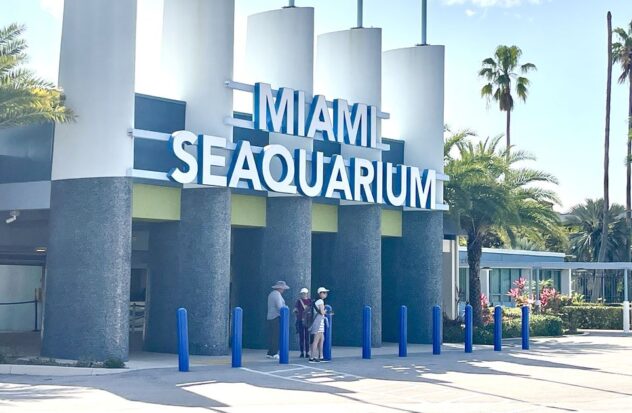 Miami Seaquarium refuses to vacate, keeps its doors open and sues the County
