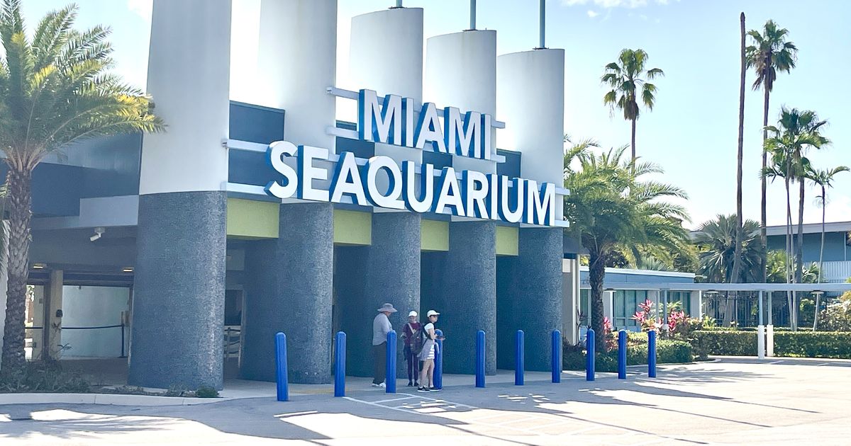 Miami Seaquarium refuses to vacate, keeps its doors open and sues the County
