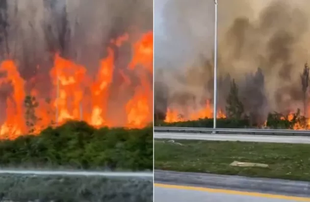 Wildfire consumes 150 acres in Miami-Dade
