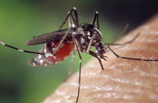 Dengue cases increase in Florida, Miami-Dade is the most affected county
