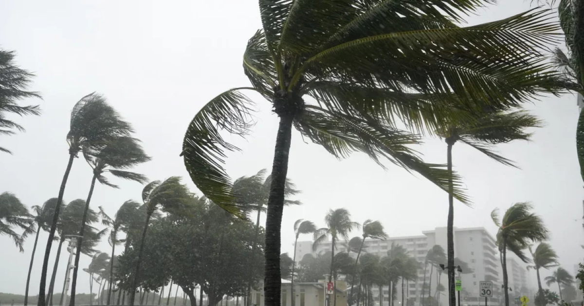 Hurricane season is coming. How to prepare and save?
