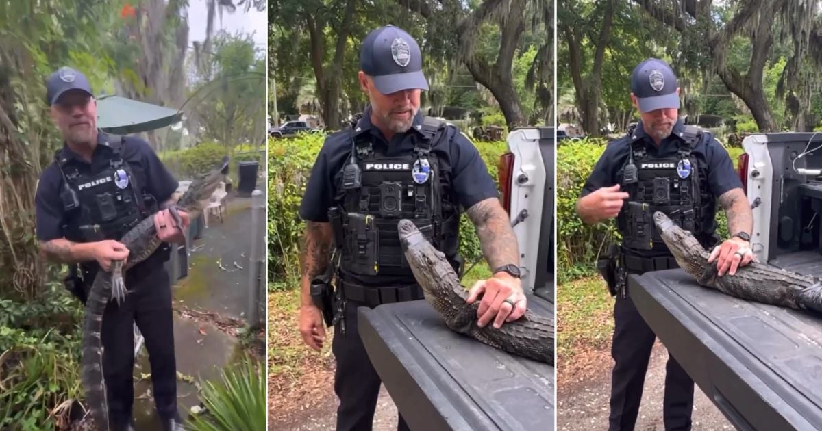 Jacksonville Police "arrest" alligator at 104-year-old woman's home
