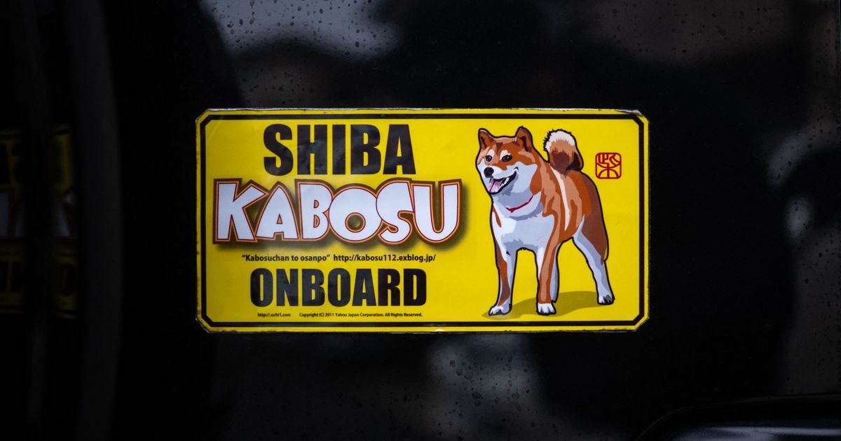 Kabosu, the Japanese dog of viral memes, dies
