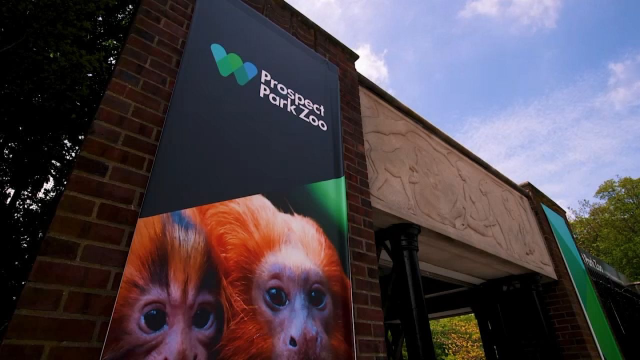 Prospect Park Zoo to reopen after repairs
