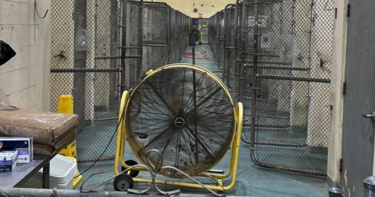 They ask for fans or air conditioners for animal shelter due to heat wave in Miami
