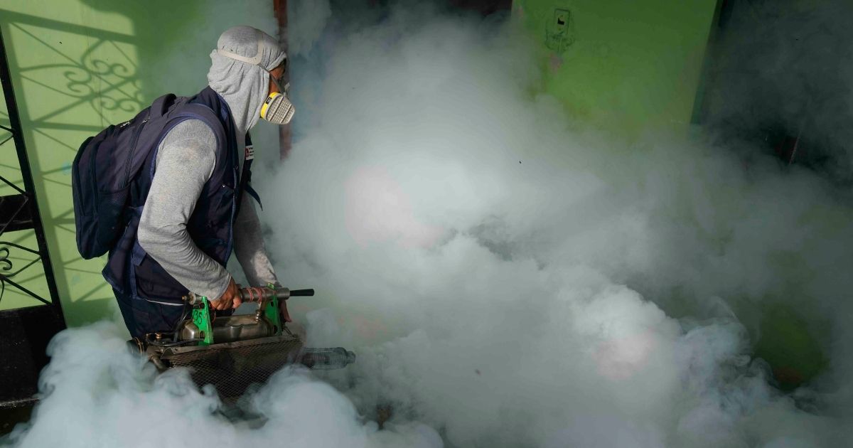 WHO authorizes second vaccine against dengue
