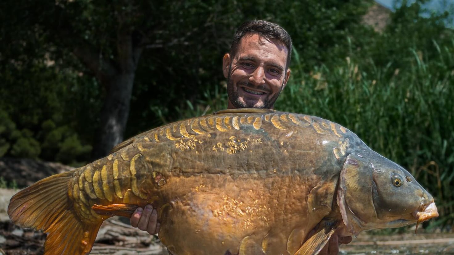 Catch a carp weighing more than 27 kilos in a Zaragoza reservoir: It's a dream
