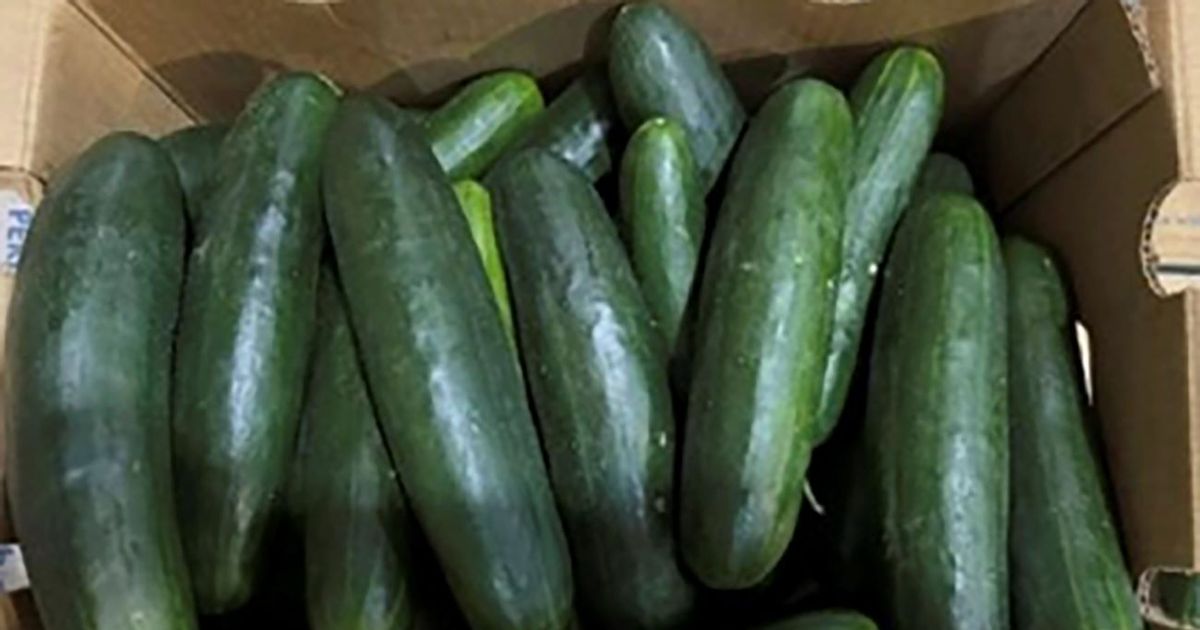 Consumption of cucumbers with salmonella in the US, the cause of an outbreak in 25 states