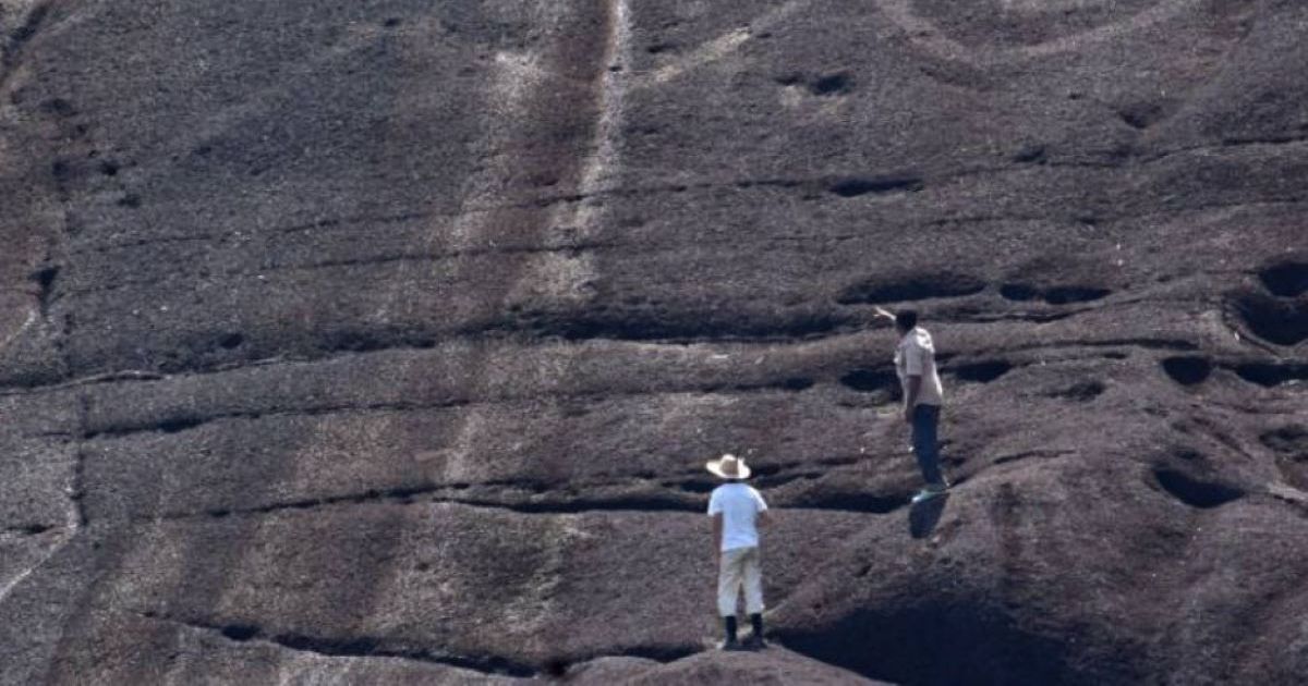 Giant rock engravings thousands of years old discovered in the Orinoco
