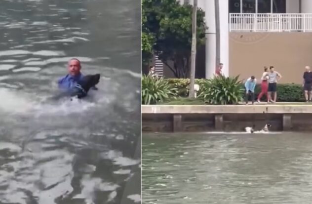 Man throws his dog into the water and confronts neighbors who try to rescue him
