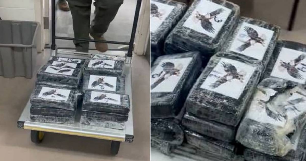 Navigator finds cocaine worth a million dollars in Florida