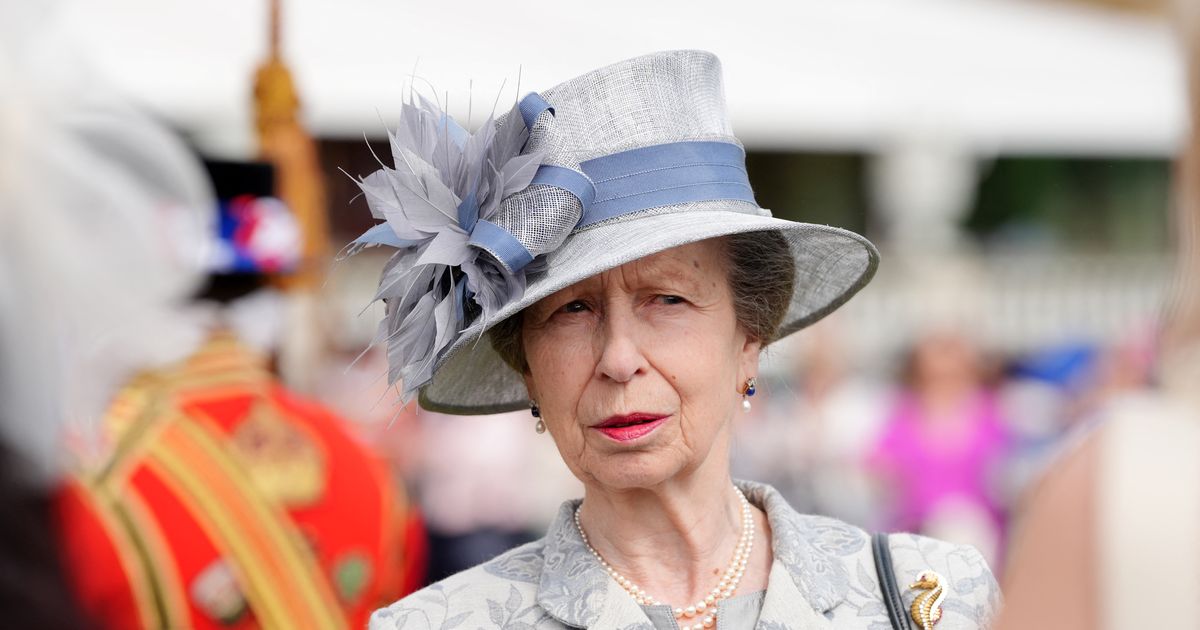 Princess Anne leaves hospital after horse accident