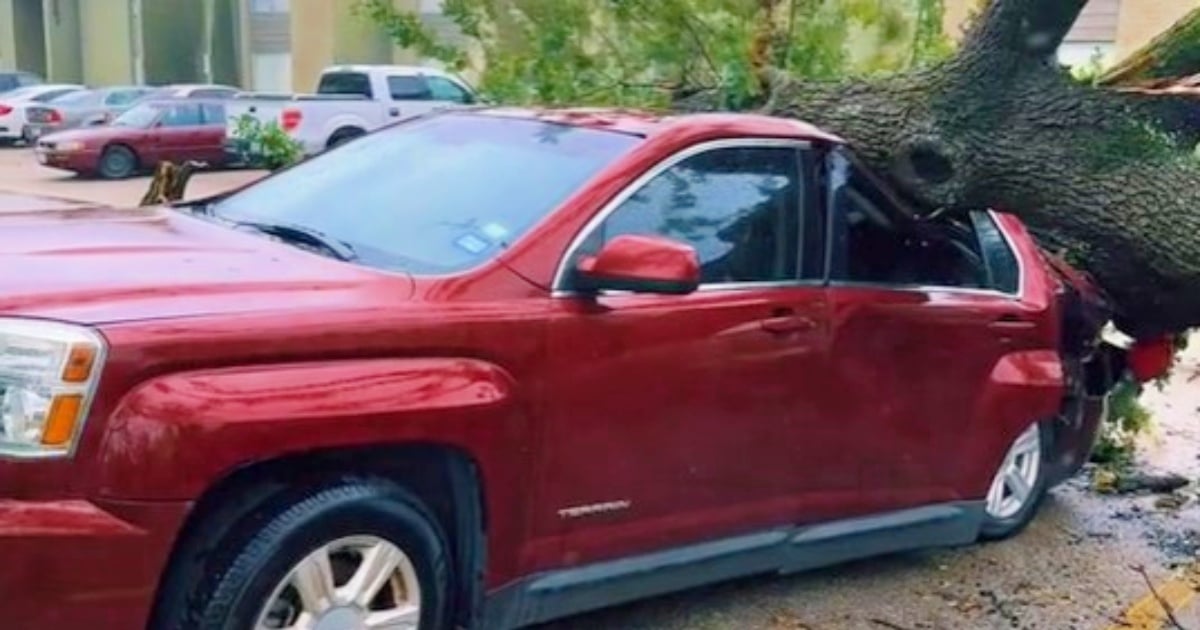 A Cuban's reaction after his truck was crushed by a tree in Houston during the passage of Beryl
