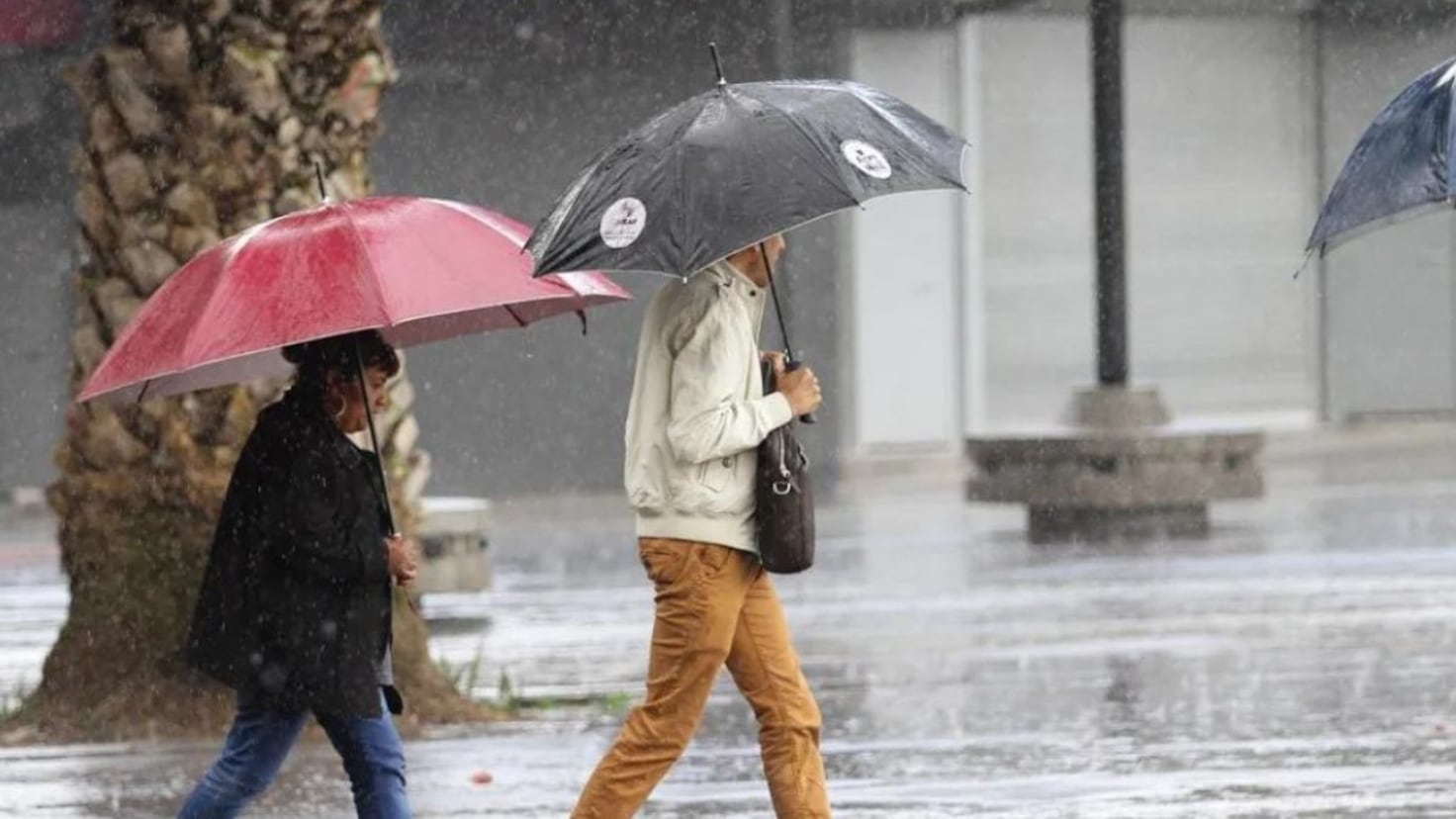 AEMET announces rain and storms for the weekend: affected areas
