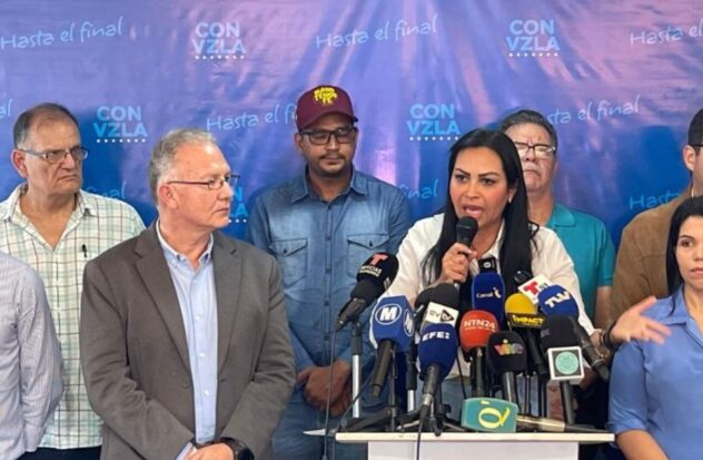 Democratic opposition calls for strengthening verification in the face of blockade of electoral observers
