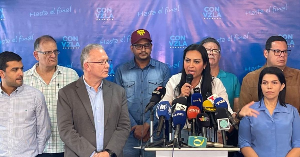 Democratic opposition calls for strengthening verification in the face of blockade of electoral observers