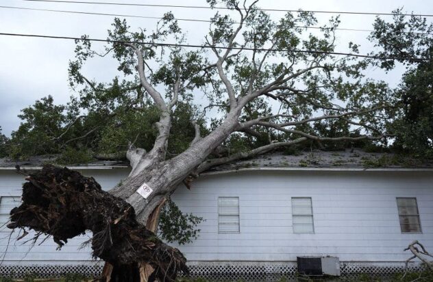 Electricity service partially restored after Beryl
