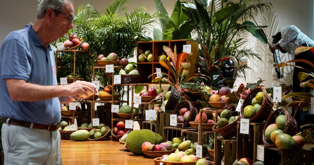 Fairchild Tropical Botanic Garden celebrates Mango Festival in Miami