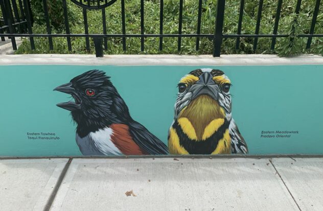 Mural in Red Hook to raise awareness about endangered birds
