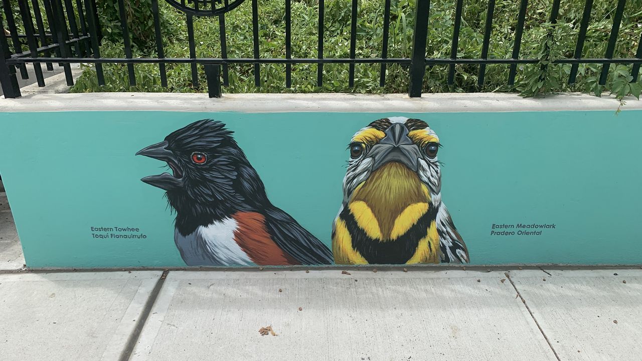 Mural in Red Hook to raise awareness about endangered birds
