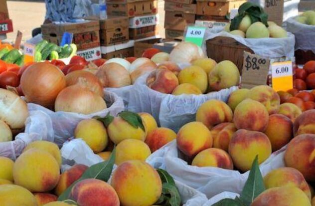 Parker County Peach Festival is celebrated in Texas this Saturday
