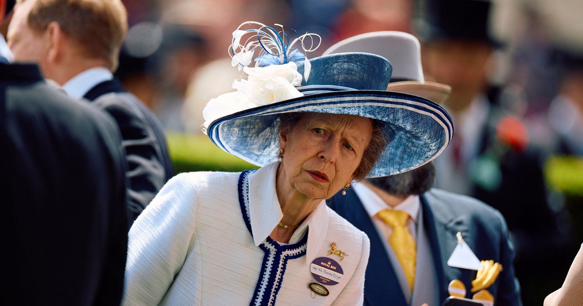 Princess Anne resumes public activity after suffering a fall