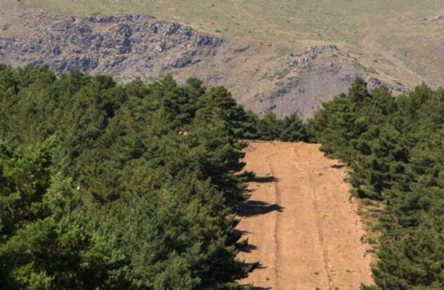 Why are there lines without vegetation in the mountains in Spain? This is the explanation for the firebreaks
