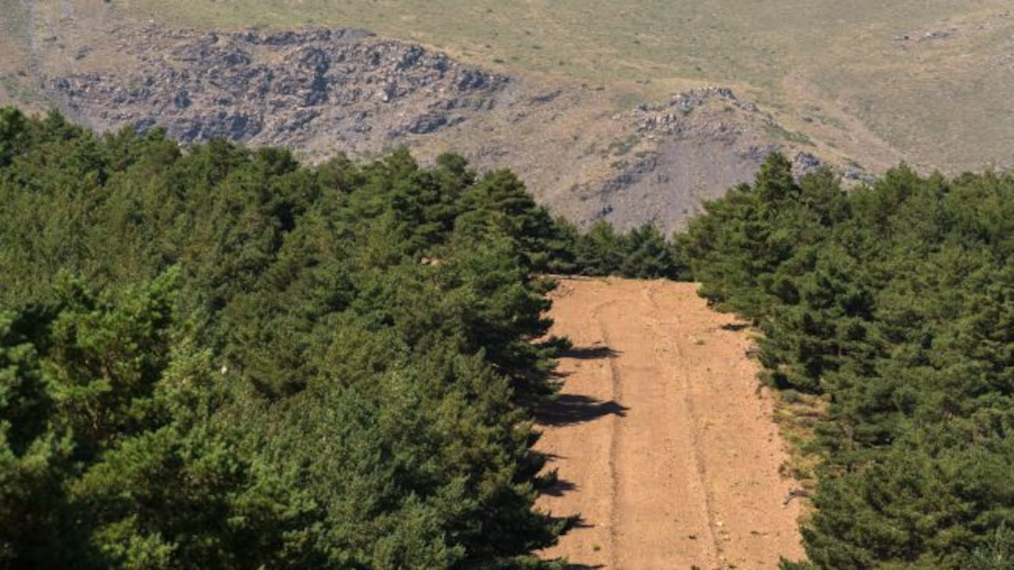 Why are there lines without vegetation in the mountains in Spain? This is the explanation for the firebreaks